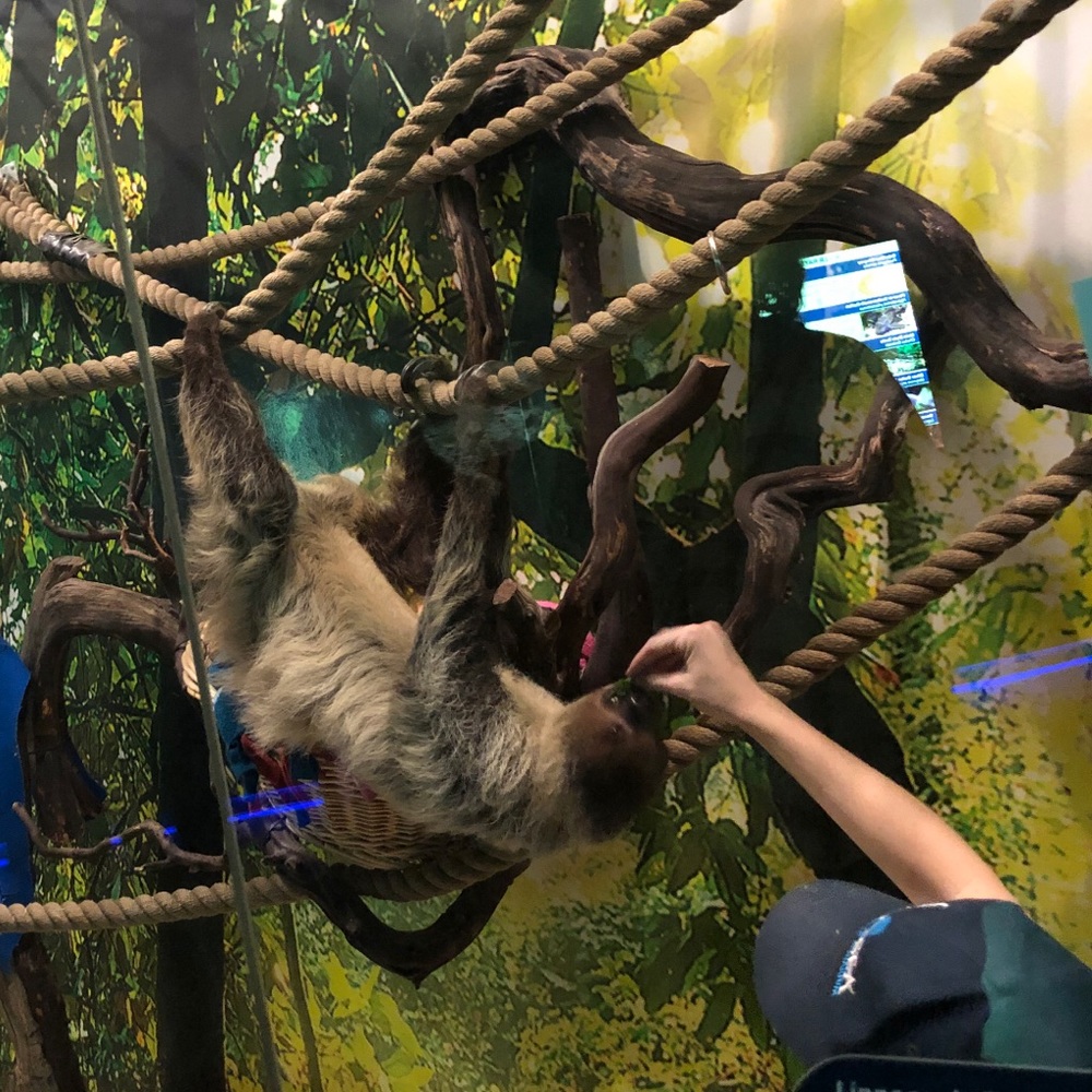 Meet your Posher, Esther